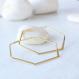 Hex Hoop Earrings in Gold 1